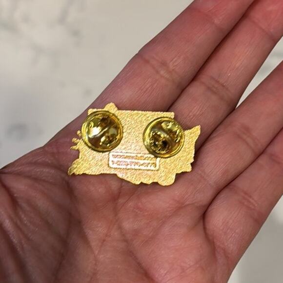 Standing Together Promoting Fraternalism 2010-2011 Washington State pin - Picture 3 of 3